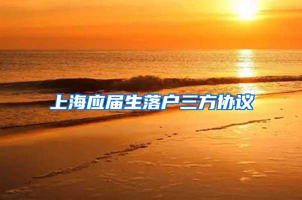 上海应届生落户三方协议