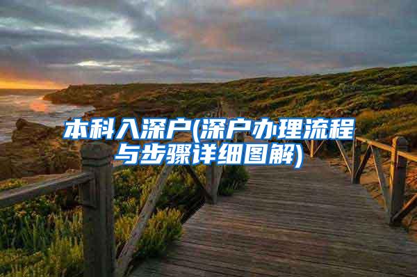 本科入深户(深户办理流程与步骤详细图解)
