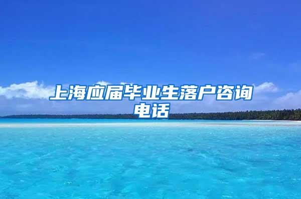上海应届毕业生落户咨询电话