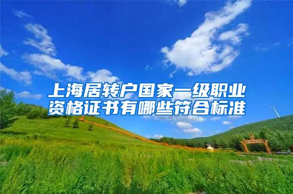 上海居转户国家一级职业资格证书有哪些符合标准