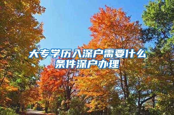 大专学历入深户需要什么条件深户办理