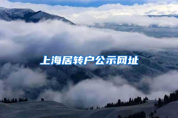 上海居转户公示网址