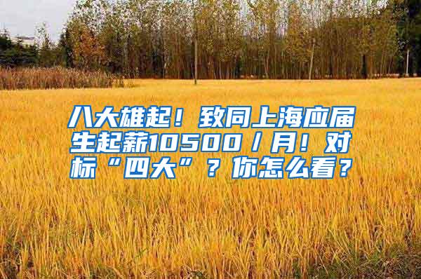 八大雄起！致同上海应届生起薪10500／月！对标“四大”？你怎么看？
