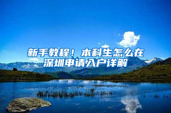 新手教程！本科生怎么在深圳申请入户详解