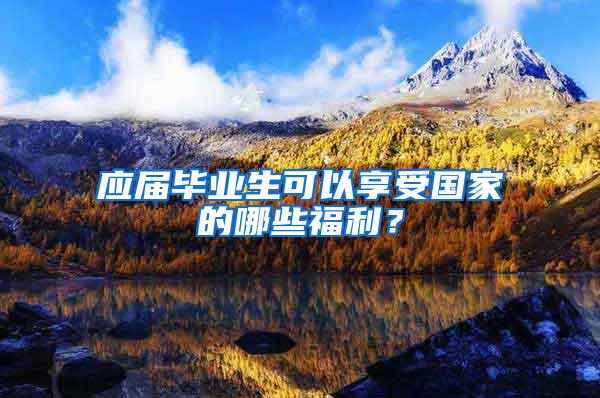 应届毕业生可以享受国家的哪些福利？