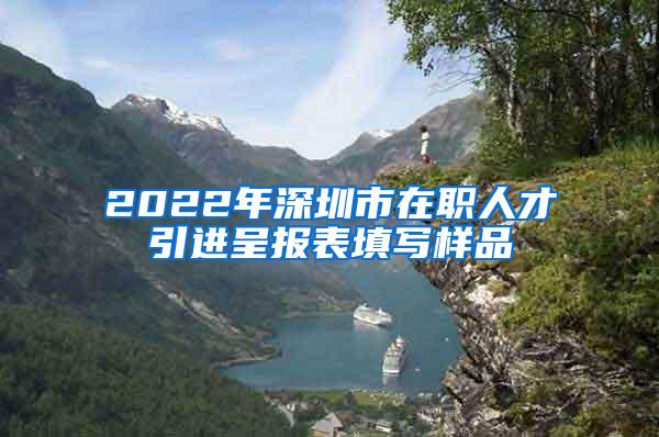 2022年深圳市在职人才引进呈报表填写样品