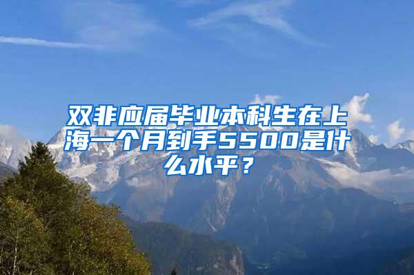 双非应届毕业本科生在上海一个月到手5500是什么水平？
