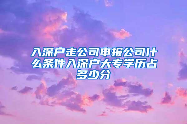 入深户走公司申报公司什么条件入深户大专学历占多少分