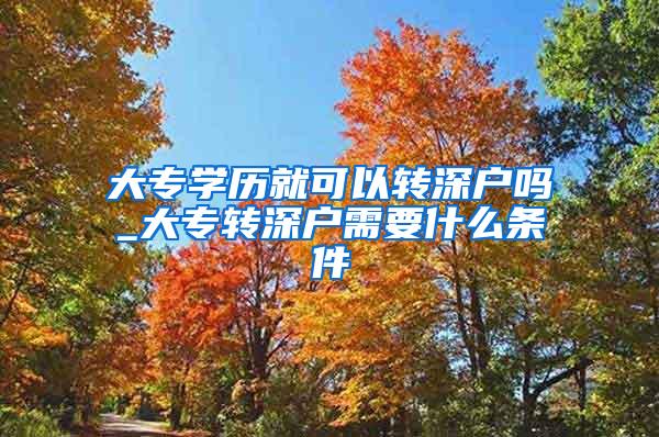 大专学历就可以转深户吗_大专转深户需要什么条件