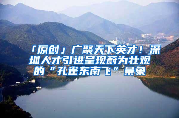 「原创」广聚天下英才！深圳人才引进呈现蔚为壮观的“孔雀东南飞”景象