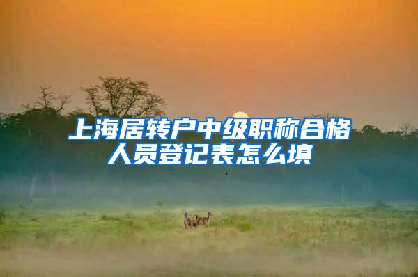 上海居转户中级职称合格人员登记表怎么填