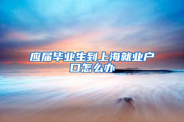 应届毕业生到上海就业户口怎么办