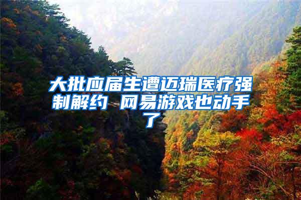 大批应届生遭迈瑞医疗强制解约 网易游戏也动手了