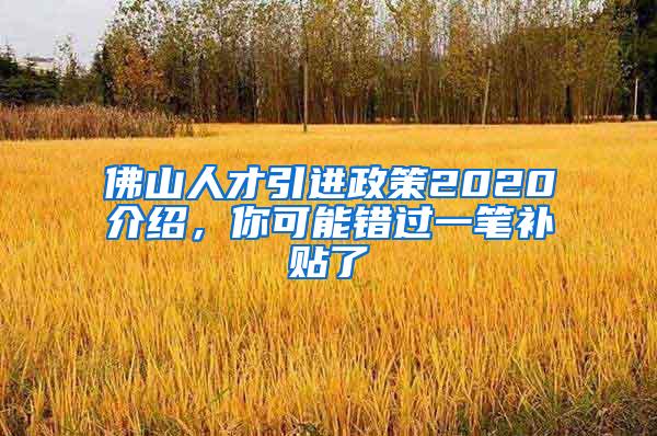 佛山人才引进政策2020介绍，你可能错过一笔补贴了