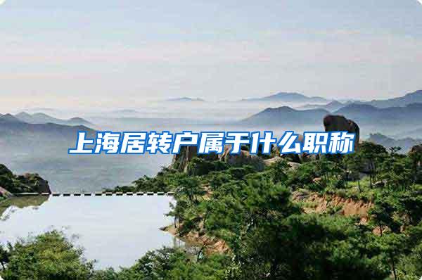 上海居转户属于什么职称