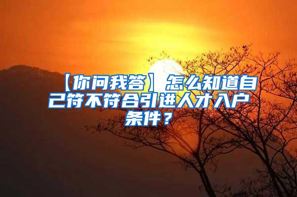 【你问我答】怎么知道自己符不符合引进人才入户条件？