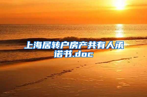 上海居转户房产共有人承诺书.doc