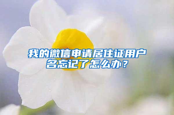 我的微信申请居住证用户名忘记了怎么办？