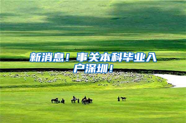 新消息！事关本科毕业入户深圳！