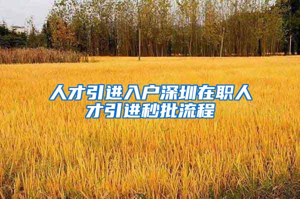 人才引进入户深圳在职人才引进秒批流程