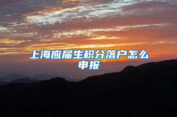 上海应届生积分落户怎么申报