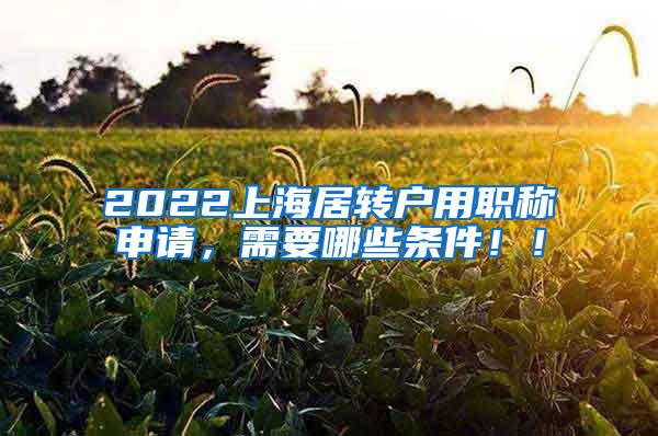 2022上海居转户用职称申请，需要哪些条件！！