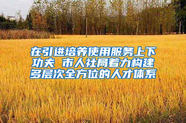 在引进培养使用服务上下功夫 市人社局着力构建多层次全方位的人才体系
