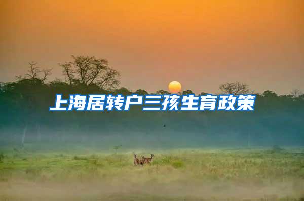 上海居转户三孩生育政策