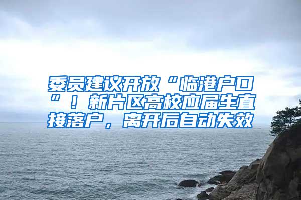 委员建议开放“临港户口”！新片区高校应届生直接落户，离开后自动失效