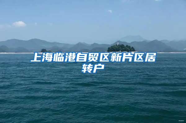 上海临港自贸区新片区居转户
