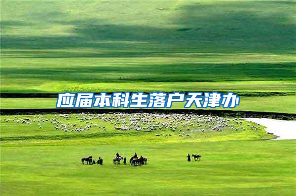 应届本科生落户天津办