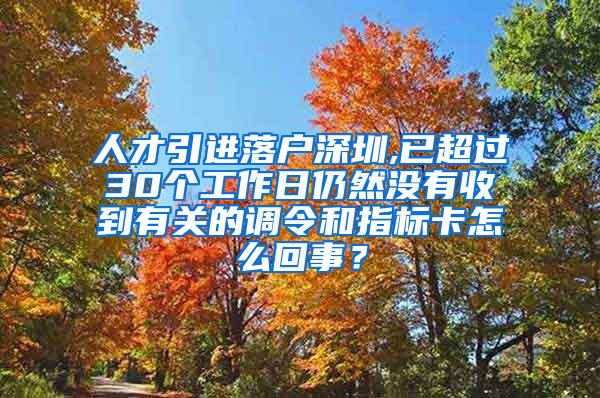 人才引进落户深圳,已超过30个工作日仍然没有收到有关的调令和指标卡怎么回事？