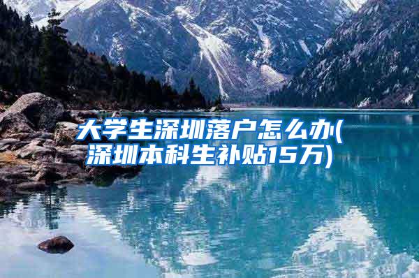 大学生深圳落户怎么办(深圳本科生补贴15万)