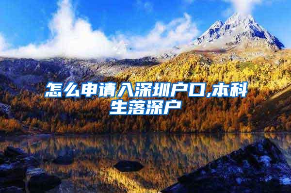 怎么申请入深圳户口,本科生落深户