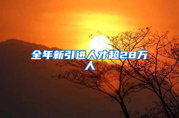 全年新引进人才超28万人