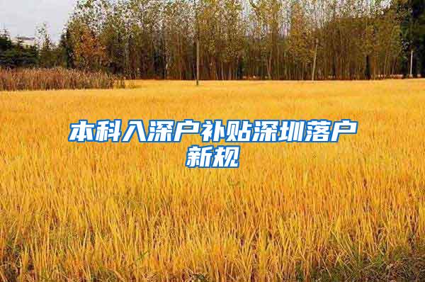 本科入深户补贴深圳落户新规