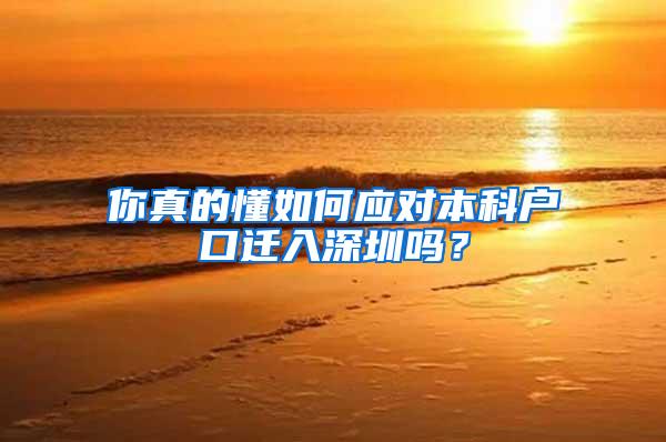 你真的懂如何应对本科户口迁入深圳吗？