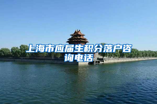 上海市应届生积分落户咨询电话