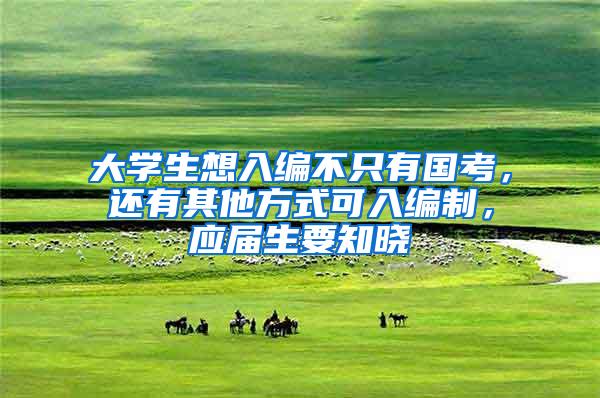 大学生想入编不只有国考，还有其他方式可入编制，应届生要知晓