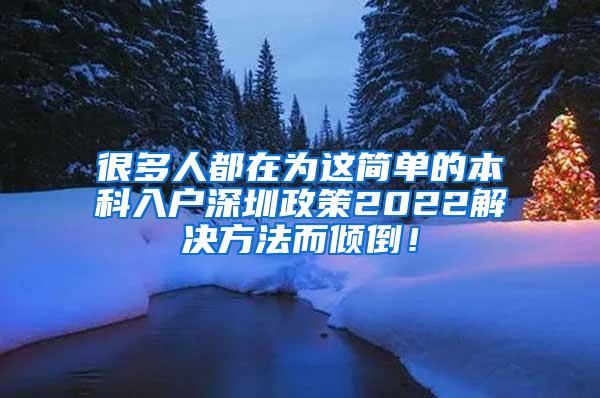 很多人都在为这简单的本科入户深圳政策2022解决方法而倾倒！