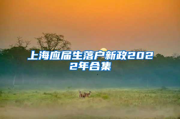 上海应届生落户新政2022年合集