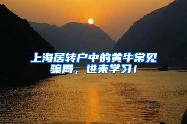 上海居转户中的黄牛常见骗局，进来学习！