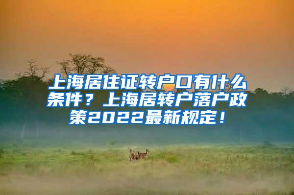 上海居住证转户口有什么条件？上海居转户落户政策2022最新规定！