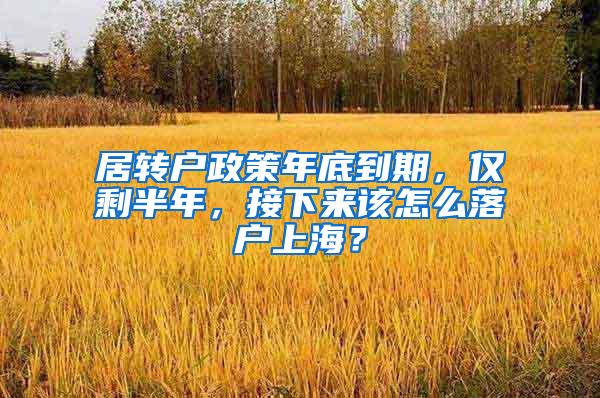 居转户政策年底到期，仅剩半年，接下来该怎么落户上海？