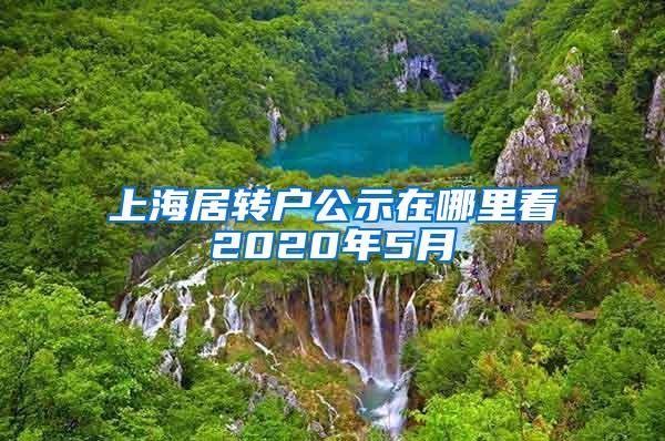上海居转户公示在哪里看2020年5月
