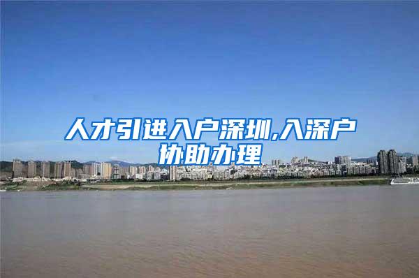 人才引进入户深圳,入深户协助办理