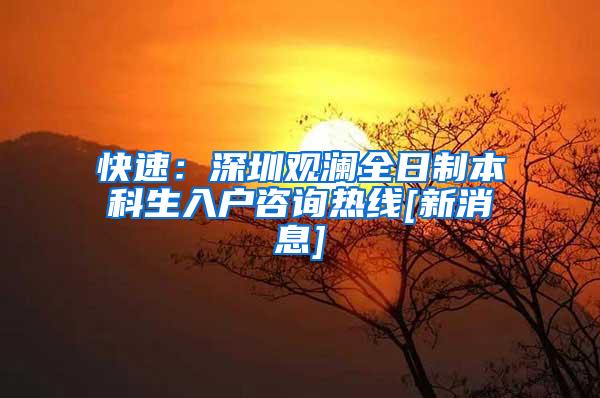 快速：深圳观澜全日制本科生入户咨询热线[新消息]