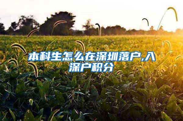 本科生怎么在深圳落户,入深户积分