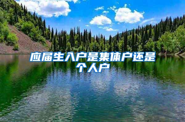 应届生入户是集体户还是个人户