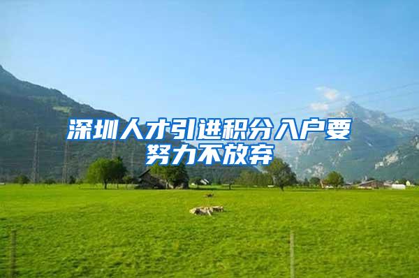 深圳人才引进积分入户要努力不放弃
